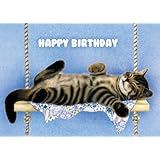 Tree Free Greetings The Swinger Birthday Cards, 2 Card Set, Cat, Multicolored (14191)
