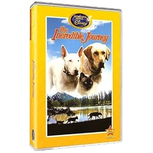 The Incredible Journey (The Wonderful World of Disney)