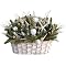 Costa Blanca Tabletop Dried Floral Arrangement - White Container (23")
