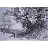Paliano, by Edward Lear (Print On Demand)