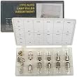 17 pc Miniature 12-Volt Automotive Light Bulb Assortment