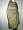 India Jamawar Antique Green Black Pashmina Shawl,wrap Throw Reversible 82x43 Image #3