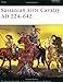 Sassanian Elite Cavalry AD 224–642 (Elite, 110)