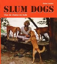 SLUM DOGS - VIES DE CHIENS EN INDE
