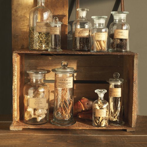Two's Company Botany Apothecary Jars with Antiqued Labels, Set of 9