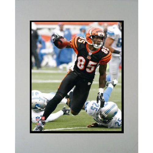 Cincinnati Bengals Chad Ochocinco Matted Photo Case Pack 12