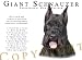 schnauzer7  - Giant Schnauzer Human Trainer Mouse Pad Dog Mousepad