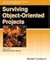 Surviving Object-Oriented Projects