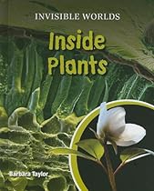 Inside Plants (Invisible Worlds)
