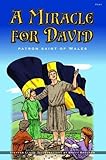 A miracle for David : patron saint of Wales