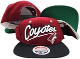 Phoenix Coyotes Maroon/Black Two Tone Plastic Snapback Adjustable Plastic Snap Back Hat / Cap