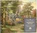 THOMAS KINKADE PAINTER OF LIGHT ADDRESS BOOK (HOMETOWN LAKE)
