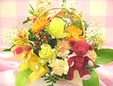 �y���{���l�b�g�z���[�Y�̍��聚�A���}�x�A�t�t�����[�A�����W�����g(�C�G���[�n)FL-MD-73