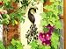 Peacock metal work hanging wall art