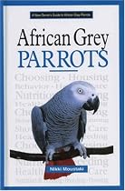 A New Owner's Guide to African Grey Parrots