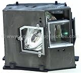 Genuine Corporate Projection EC.J2901.001 Lamp & Housing for Acer Projectors - 180 Day Warranty!!