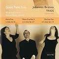 Brahms - Clarinet Trio, Horn Trio,  Piano Trio No 3