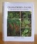 Chamaedorea Palms the Species and Their Cultivation