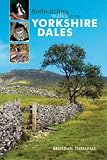 Birdwatching Walks in the Yorkshire Dales