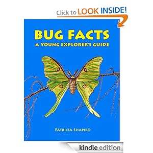Bug Facts
