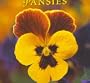 Pansies
