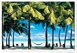 The Hammock, Peter Adams (1000 pc puzzle)