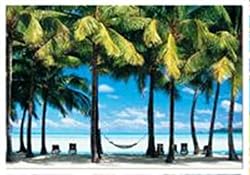 The Hammock, Peter Adams (1000 pc puzzle)