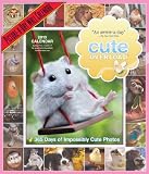 Cute Overload 2013 Wall Calendar: 365 Days of Impossibly Cute Photos