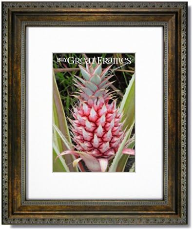 One 11x14 Ornate Heritage Bronze Picture Frames and Clear Glass with a single Warm White Mat for 8.5x11