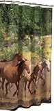 Maytex Wild Horses Fabric Shower Curtain, Multi 51OKmsae3jL. SL160 Maytex Wild Horses Fabric Shower Curtain, Multi