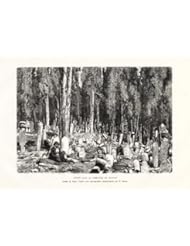 Antique Print-TURKEY-SCUTARI-USKUDAR-CEMETARY-CYPRESS-Reclus-Slom-1884