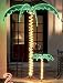 7' Tropical Lighted Holographic Rope Light Outdoor Palm Tree