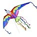 Brookite Bermuda Bird Kite