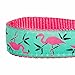 Blueberry Pet Essentials 10 Patterns Pink Flamingo on Light Emerald Adjustable Dog Collar, X-Small, Neck 7.5