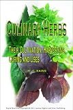 Culinary Herbs; Their Cultivation, Harvesting, Curing and Uses