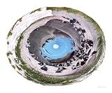 Penguins Animals Photographic Poster Print by jan carr, 24x20