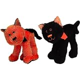 Vo Halloween Shorthair Cat