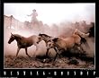 Mustang Roundup (Animals) Photo Print Poster - 16x20
