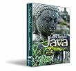 The Lost Temple of Java