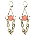 Chain Accent Vintage Earrings - Coral