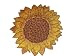 Sonnenblume Blume Bl�te Bl�ten gelb Herbst AUFN�HER APPLIKATION B�GELBILD