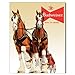 Desperate Enterprises Budweiser Clydesdale Team Tin Sign, 12.5