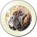 BRINDLE BOXER DOG Tax Disc Holder