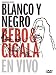 Software : Blanco Y Negro: En Vivo