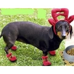 Rentier (404600) - Kost�m f�r Hunde