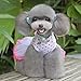 Moya Puppy Pet Dog Cat Princess Lace Skirt Tutu Dress Summer Clothes Pink