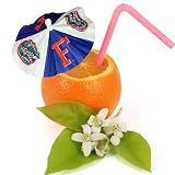 Florida Gators NCAA 3" Paper Drink Umbrellas (Set of 24)