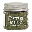 Ranger Tim Holtz Distress Glitter, 1-Ounce, Peeled Paint