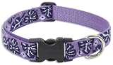 Surf Pup - Lupine Adjustable Collars Large 1 in. x 15 in. - 25 in.
