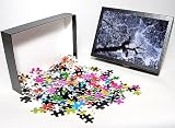 Photo Jigsaw Puzzle of HAWAII - tree canopy, silhouette from Ardea Wildlife Pets